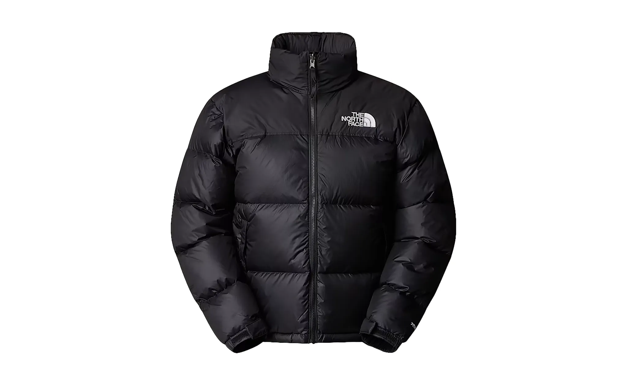 Kurtki The North Face